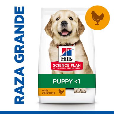 Hill'sScience Plan  Puppy Large Frango ração para cães